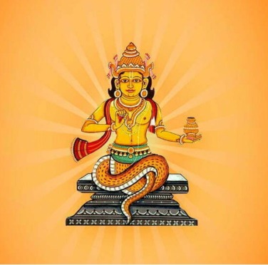 Rahu Beej Mantra Jaap (Rahu Shanti Puja)